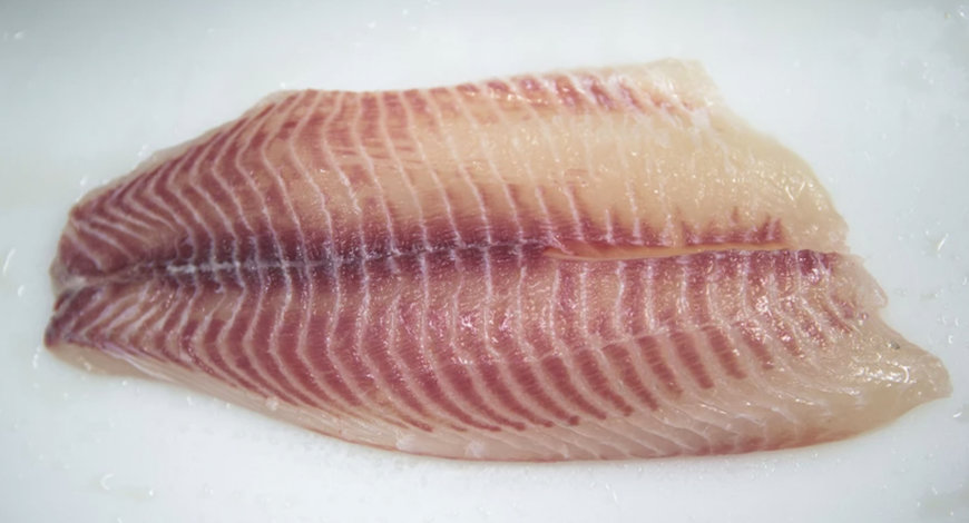 MAREL: EL SENSORX MEJORA LA PRECISIÓN DE LA DETECCIÓN DE HUESOS EN UN ESPECTACULAR 30% PARA LOS PROCESADORES DE TILAPIA